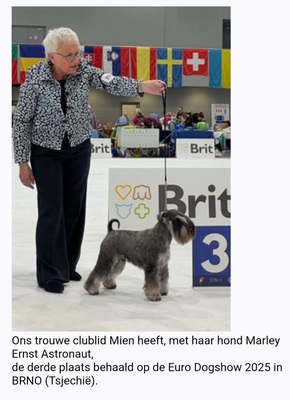 mien-derde-plaatst-2025 mien-derde-plaatst-2025